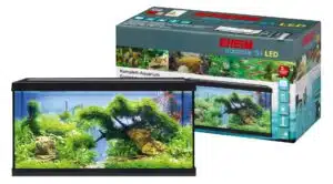 Akvarium på hybel og studieleilighet