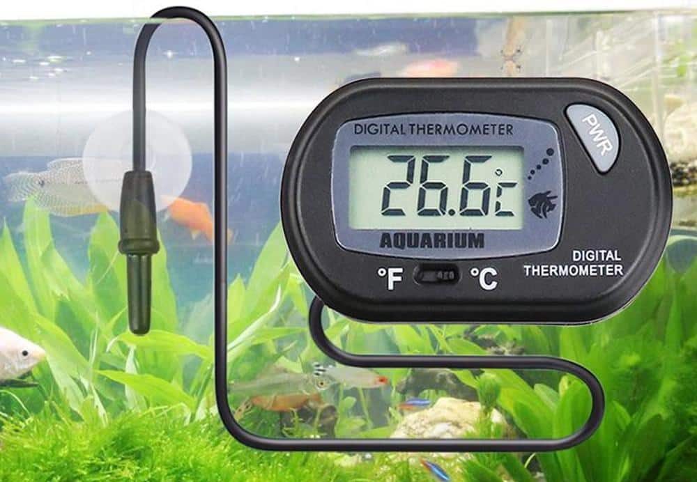 Følg med på vanntemperaturen for å sikre stabile forhold for fisken.