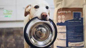 Human Grade Hundemat