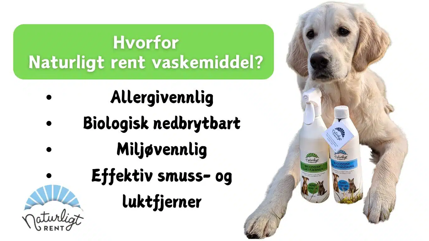 Hvorfor-Naturligt-rengjoringsmiddel