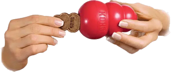 KONG Stuff'N Snacks Liver