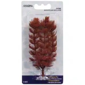 Plastplante foxtail mini 10cm med sugekopp