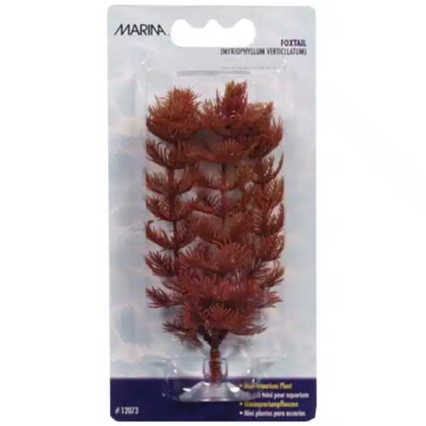 Plastplante foxtail mini 10cm med sugekopp