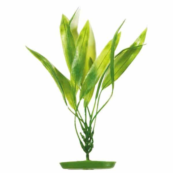 Plastplante amazon sverdplante