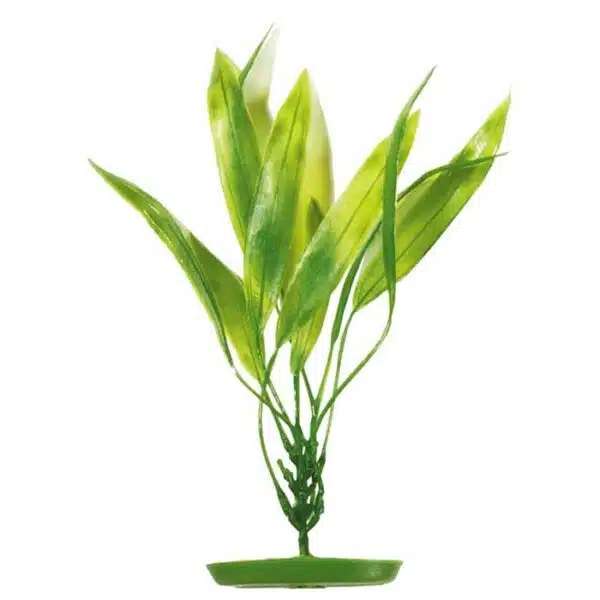 Plastplante amazon sverdplante