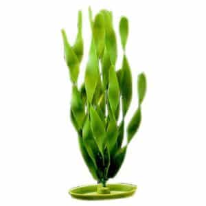 Plastplante jungle vallisneria
