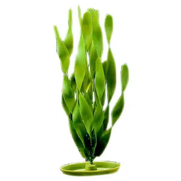 Plastplante jungle vallisneria