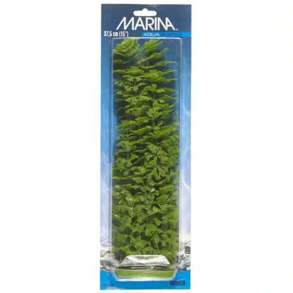 Plastplante ambulia