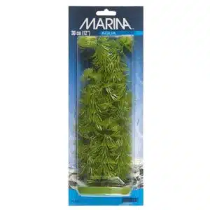 Plastplante hornwort