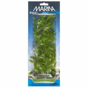 Plastplante hygrophila