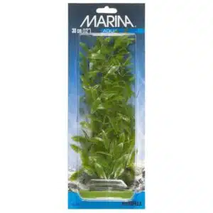 Plastplante hygrophila