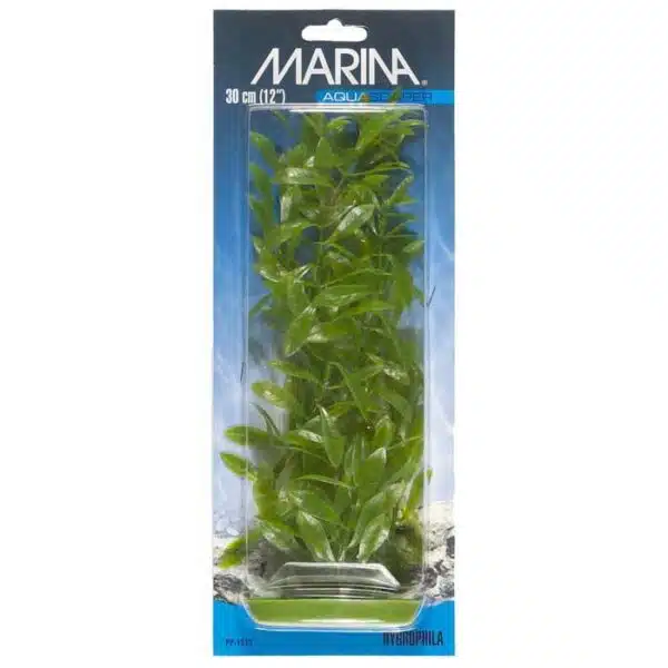 Plastplante hygrophila