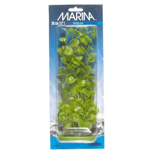 Plastplante Cardamine