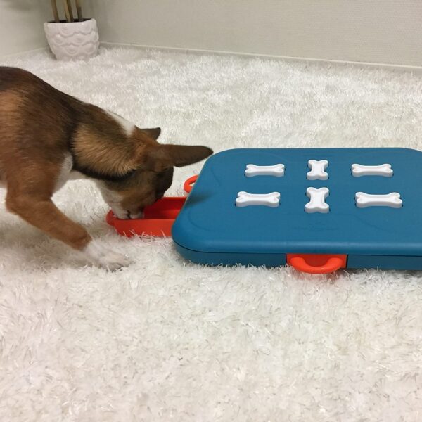 Nina Ottosson Dog Casino Aktivitetsleke