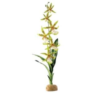 Exo Terra Boston OrkidÃ¨ 13x8x43cm
