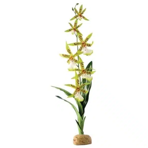 Exo Terra Boston OrkidÃ¨ 13x8x43cm