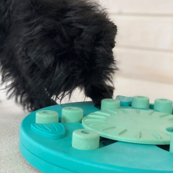 Nina Ottosson Dog Worker Composite Aktivitetsleke