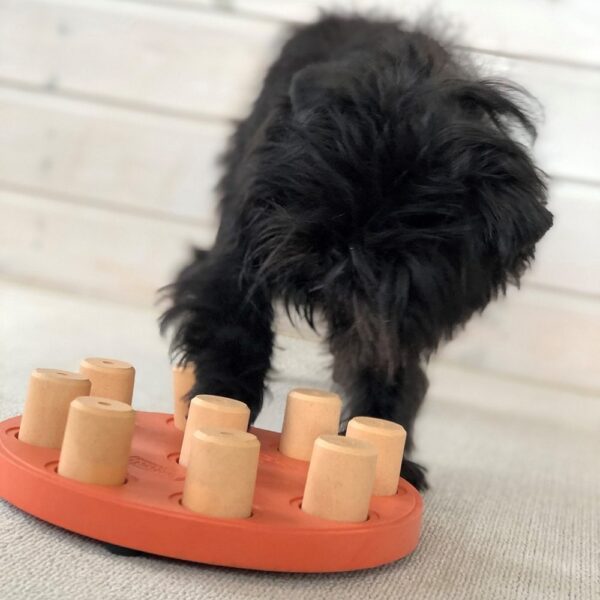 Nina Ottosson Dog Smart Composite Aktivitetsleke