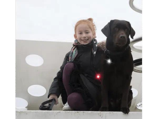 Orbiloc Dog Dual Twin Rød og Hvit