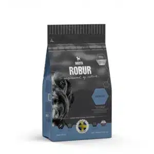 Robur senior