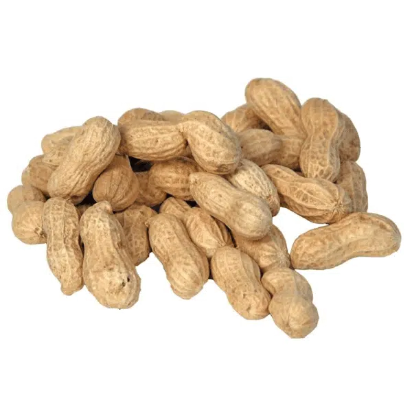 Peanøtter med skall 10 kg
