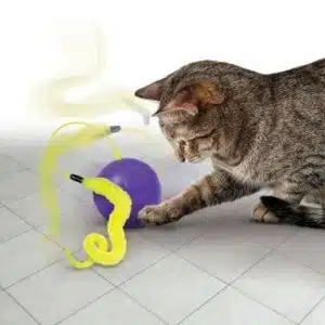 Kong cat purrsuit whirlwind