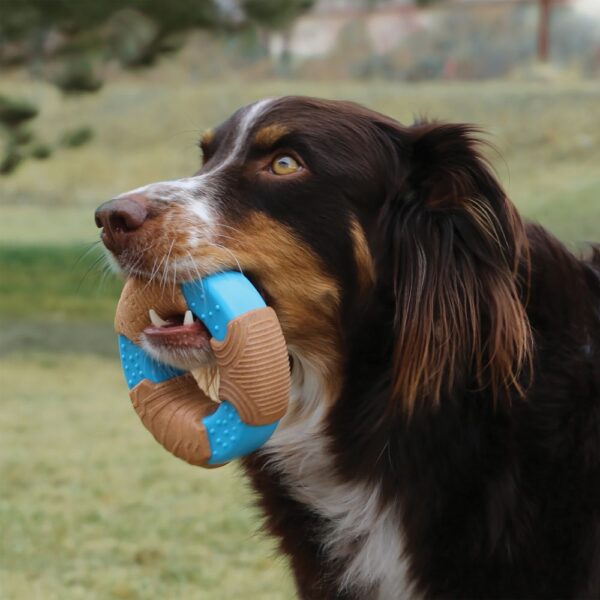 KONG CoreStrength Bamboo Bone Tyggeleke Large