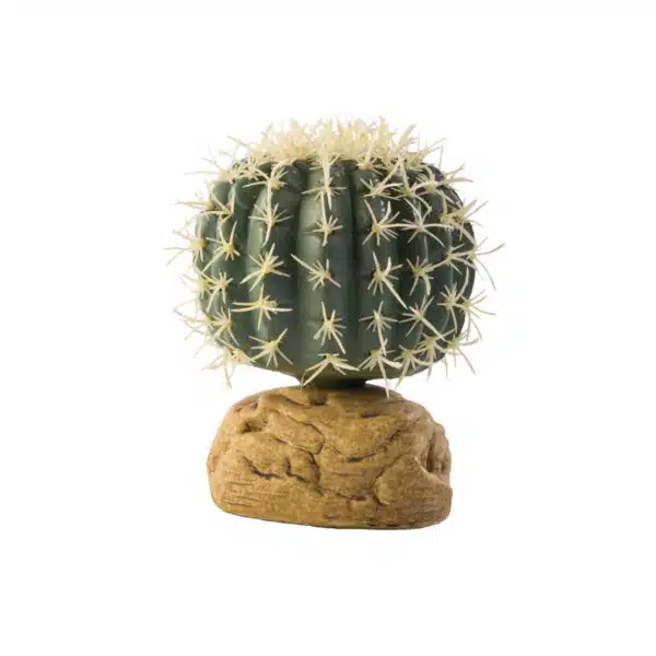 Ballkaktus Ã˜rkenplante Exoterra