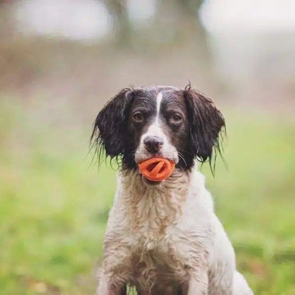 Chuckit! Breathe Right Ball Flyteleke