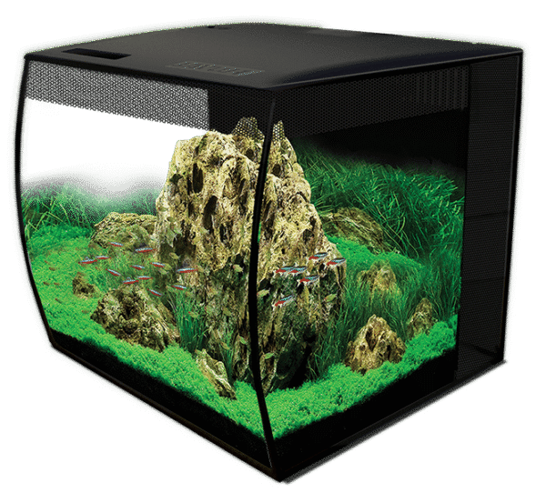 Fluval Flex Led Akvarium