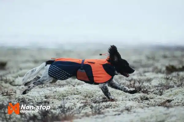 Non-Stop Dogwear Glacier Jacket Hundedekken Vinter
