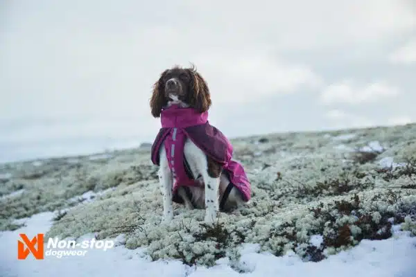 Non-Stop Dogwear Glacier Jacket Hundedekken Vinter