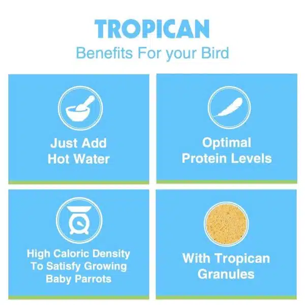 Håndoppmating Hagen Tropican