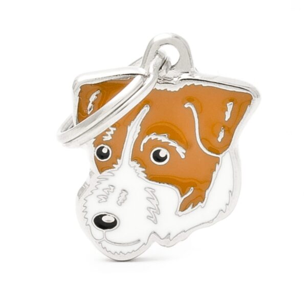 Myfamily Jack Russell terrier