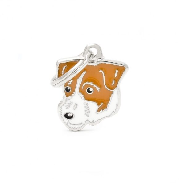Myfamily Jack Russell terrier