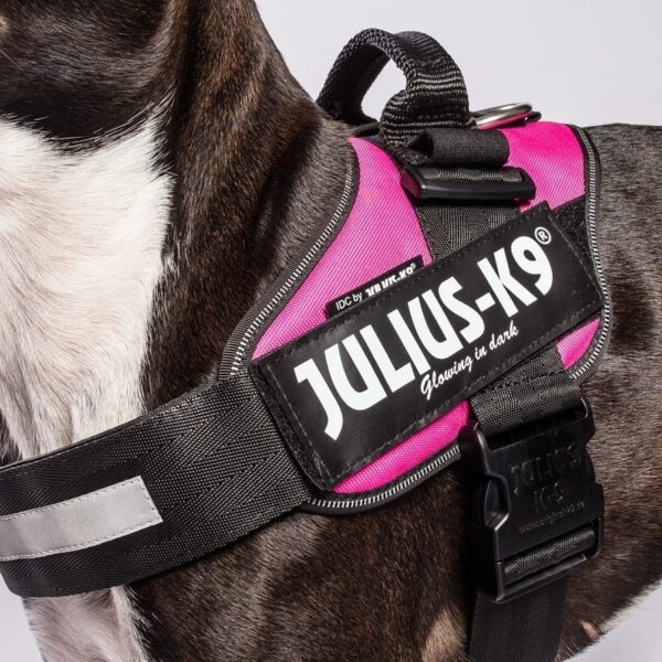 Label-merke Julius K9 Large borrelås