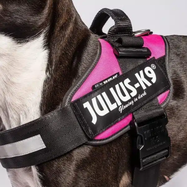Label-merke Julius K9 small borrelås