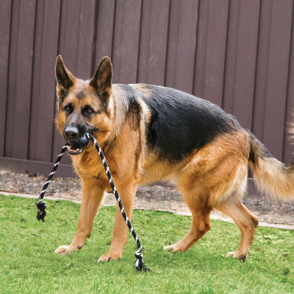 Kong Extreme ball med tau L Ã˜7.5cm