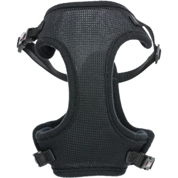 Mesh Y-sele for katt ass farger