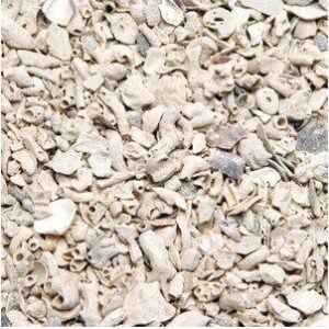 Muslingshell 15kg