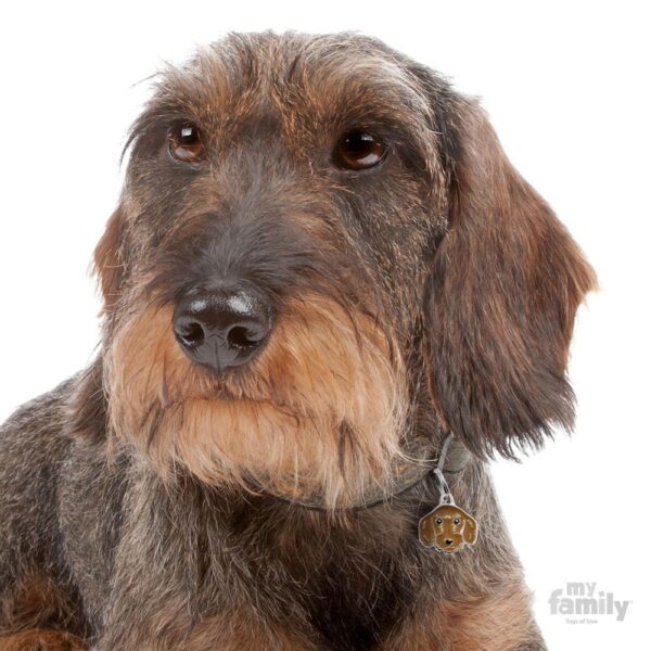 Myfamily Dachshund IDtag