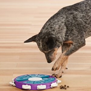Nina Ottosson Dog Twister Plast Aktivitetsleke