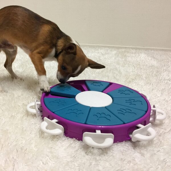 Nina Ottosson Dog Twister Plast Aktivitetsleke
