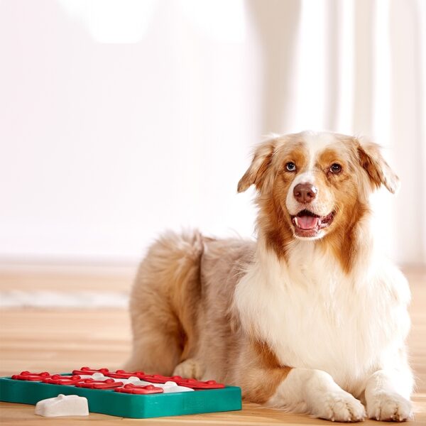Nina Ottosson Dog Brick Aktivitetsleke