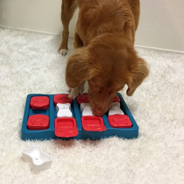 Nina Ottosson Dog Brick Aktivitetsleke