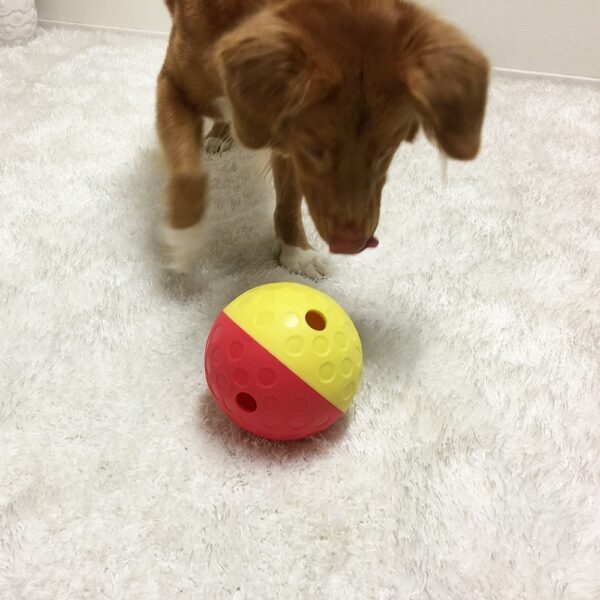 Nina Ottosson Aktivitetsball Treat Tumble