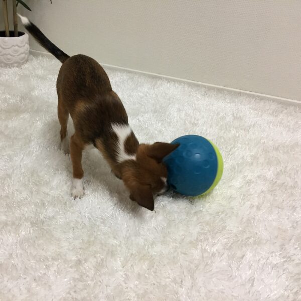 Nina Ottosson Aktivitetsball Treat Tumble
