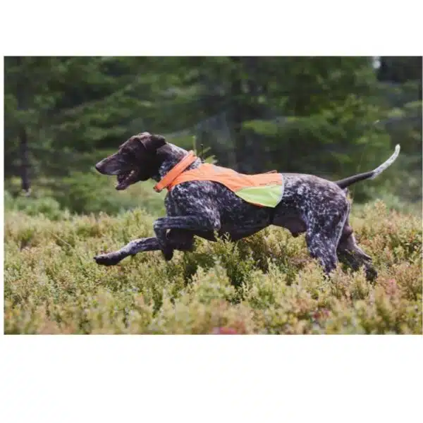 Non-Stop Dogwear Protector Hundevest Jaktdekken