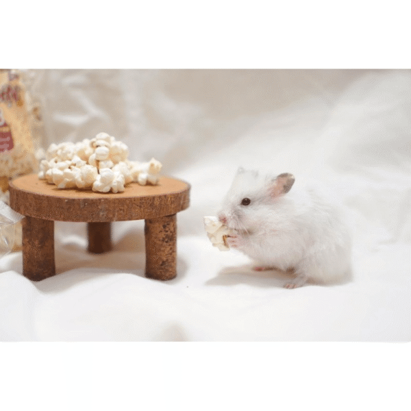 Popcorn til smådyr