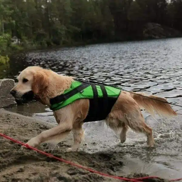 Rukka Flytevest Redningsvest Hund